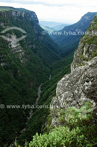  Fortaleza Canyon - near Cambara do Sul city - Rio Grande do Sul State - Brazil  