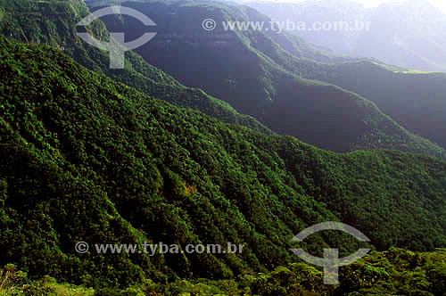  View of Aparados da Serra, where forested ridges alternate with water courses - South Brazil 