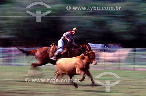  Gaucho at roping contest at the Paradise Farm - Saint Angelo - Rio Grande do Sul state - Brazil 
