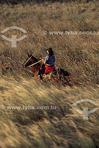  Man by horse - Rio Grande do Sul state - Brazil 