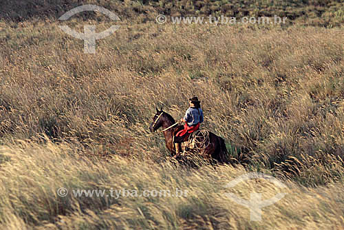  Gaucho cowboy on his horse at Pampas Gaucho - Rio Grande do Sul - Brazil 