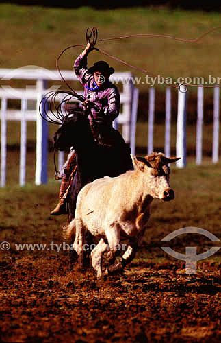  Gauchos* at a roping contest - Sitio Paraiso - Santo Angelo - Rio Grande do Sul state - Brazil  *People from South of Brazil 