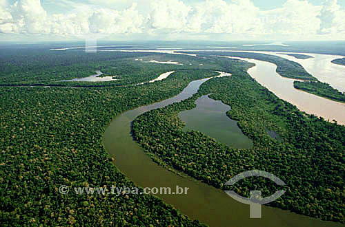  Madeira River at Amazon Rain Forest - Rondonia state - Brazil 