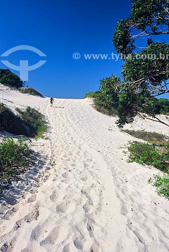  Sand dunes at Moçambique Beach - Florianopolis city - Santa Catarina state - Brazil - June 2003 