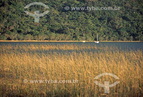  Boats and grass at Peri lagoon - Florianopolis city - Santa Catarina state - June 2004 
