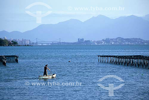  Man rowing small boat with the Florianopolis bridge in the backround - Florianopolis city - Santa Catarina state - Brazil 