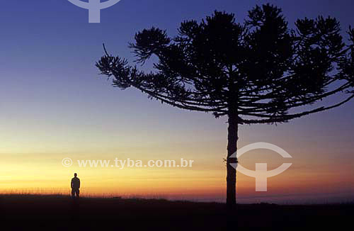  Silhouette of a man - Boa Vista Mountain Range at Sunset (Good Sight Mountain Range) - Rancho Queimado city - Santa Catarina state - Brazil - May 2005 
