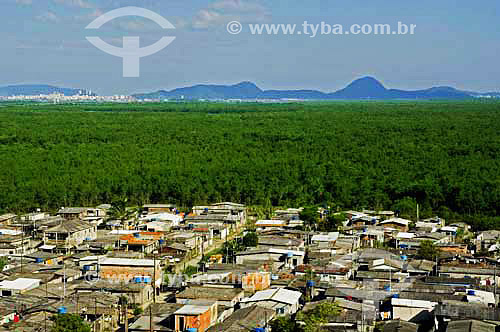  Mangrove area invaded by favelas - Cubatao region - Sao Paulo state - Brazil 