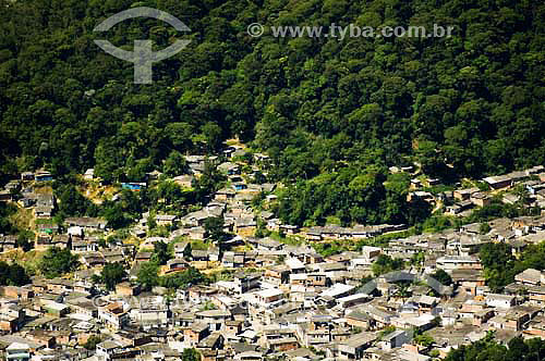  Favela invasion at Cota 50 neighbourhood - Serra do Mar state park - Cubatao region - Sao Paulo state - Brasil 