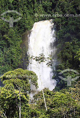  Cachoeira dos Veados (Deer Falls) in Parque Nacional da Serra da Bocaina (Serra da Bocaina National Park) - Sao Paulo - Sao Paulo state - Brazil 