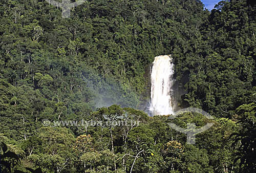 Cachoeira dos Veados (Deer Falls) in Parque Nacional da Serra da Bocaina (Serra da Bocaina National Park) - Sao Paulo state - Brazil 