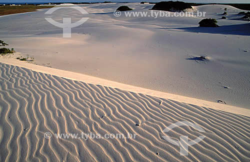  Sand dunes at Saco do Rio Real Beach - Sergipe state - Brazil 