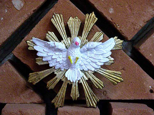  Divine pigeon - used on the decoration of the 