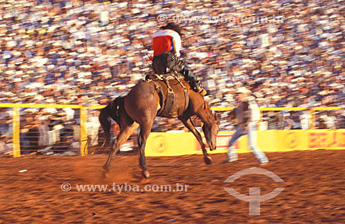  Cowboy on a horse -  