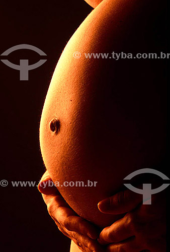  Pregnant woman`s belly 