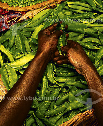  Black woman`s hands peeling green bean 