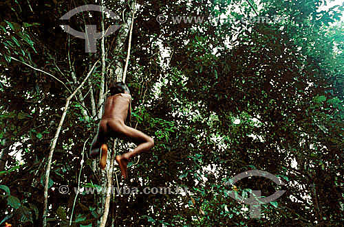  Indian boy playng with liana - Amazonian region - Brazil 
