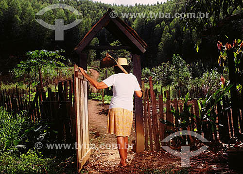  Paper manufacturing Aracruz Celulose - Reforestation: Plantation of eucalyptus trees. Woman with hoe. 