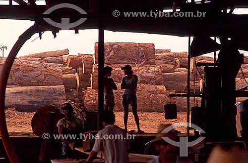  Wood exploitation - Amazonas state - Brazil - 1991 