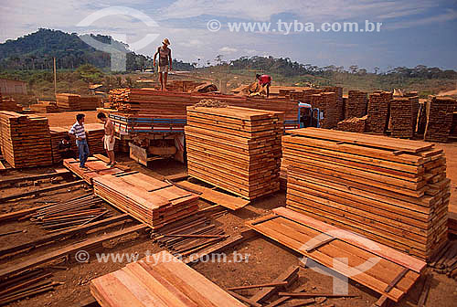  Wood exploitation - Amazonas state - Brazil - 1991 