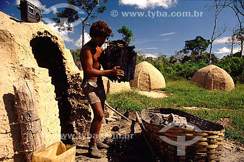  Charcoal burner putting charcoal in basket,  for many times an illegal activity for being one of the causes of loss of vegetation in Brazil- Amazonas state - Brazil  - Amazonas state - Brazil 