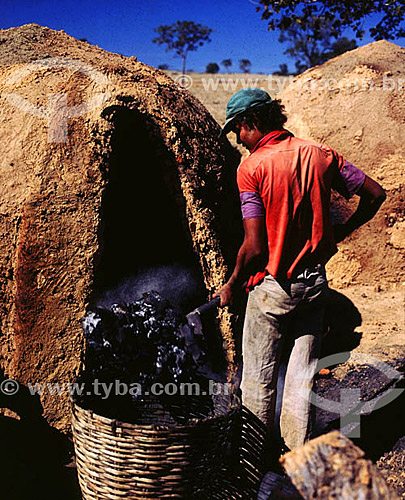  Charcoal burner at coal oven 