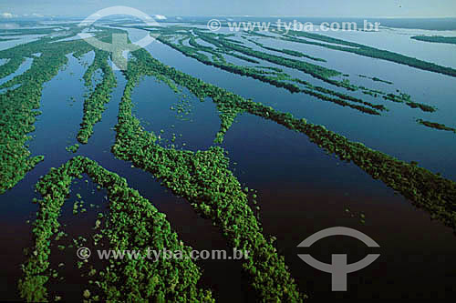  Aerial view of the Anavilhanas Archipelago * - Rio Negro (Black River) - Amazonas state - Amazonian - Brazil          * The archipelago is formed by 400 islands and it reaches 90 KM 