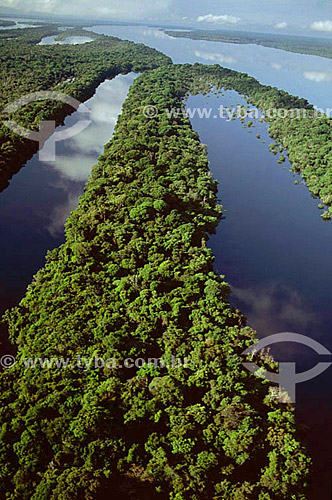  Aerial view of the Anavilhanas Archipelago * - Rio Negro (Black River) - Amazonas state - Amazonian - Brazil          * The archipelago is formed by 400 islands and it reaches 90 KM 