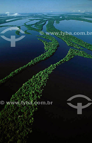  Aerial view of the Anavilhanas Archipelago * - Rio Negro (Black River) - Amazonas state - Amazonian - Brazil          * The archipelago is formed by 400 islands and it reaches 90 KM 