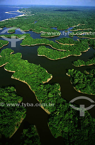  Aerial view of flooded forest area on the banks of the Rio Negro (Black River) - Amazonas state - Brazil 