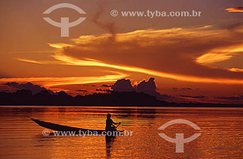  Sunset over Parque Ecologico do Lago do January (January Lake Ecological Park) - Manaus - Amazonas state - Brazil 