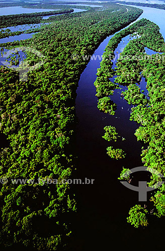  Aerial view of the Anavilhanas archipelago in the middle of the Negro River - Amazonia - Amazonas state - Brazil 