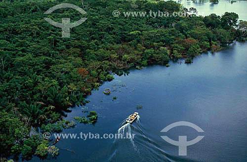  Aerial view of Amazon Region - motor boat - Brazil 