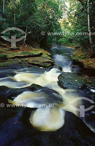  Chachoeira Guariba (Guariba Waterfall) on the igarapé Preto (Black Tributary) in Jau National Park* - Amazonia Region - Amazonas state - Brazil  * The park is a UNESCO World Heritage Site since december/2000. 