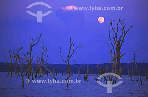  Moon over the manmade lake at the Balbina Hydroelectric Plant at twilight - President Figueiredo - AM - Brazil - october/2001 