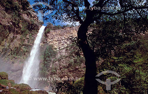  Waterfall in the Brazilian Cerrado Ecosystem 