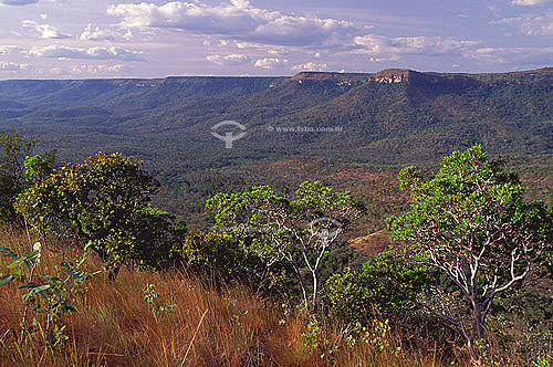  Serra do Carmo Mountain Range, near Palmas city - Cerrado Ecosystem - Tocantins State - Brazil 