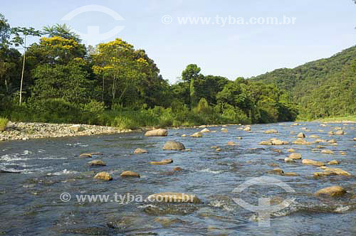  Subject: View of Cubatao River in State Park of Serra do Mar - Core Itutinga-Piloes  / Place: Sao Paulo state (SP) - Brazil / Date: 03/2007 