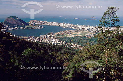  The Floresta da Tijuca (Tijuca Forest) (1) with the Lagoa Rodrigo de Freitas (Rodrigo de Freitas Lagoon) (2) in the backround - Rio de Janeiro city - Rio de Janeiro state - Brazil  (1) It is a National Historic Site since 27-04-1967.  (2) It is a Na 