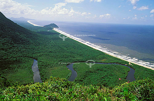  Juréia-Itatins Ecological Station -  Atlantic Rainforest - Sao Paulo state - Brazil 