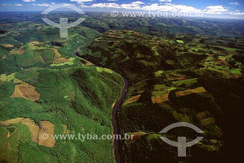  Grasslands in the Vacaria region with subtropical forests along the river;  different land-use practices produce contrasting patterns on both sides of the valley - Rio Grande do Sul state - South Brazil 