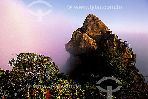  Fog - Bico do Papagaio Mountain - Tijuca National Park  - Rio de Janeiro city - Rio de Janeiro state (RJ) - Brazil