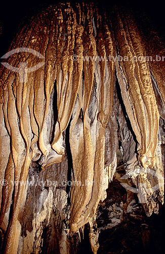  Cave - State Park of Intervales - Sao Paulo state - Brazil 