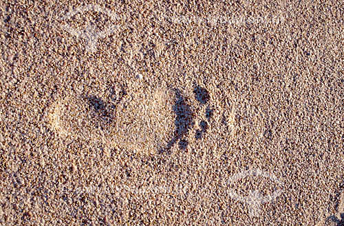  Foot print on the sand 