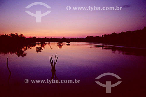  Negro River by sunset - Amazonas state - Brazil 