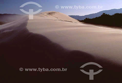  Dunes - coastal of Santa Catarina state - Brazil 