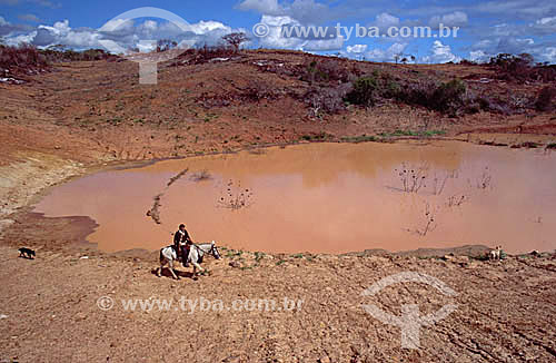  Country man goes through a litlle dam with his dogs in Raso da Catarina - Caatinga Ecosystem - Brazil 