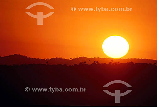  Sunset at Amazon forest - Amazonas state - Brazil 