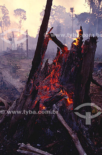  Subject: Burning - Deforestation - Amazon Forest  / Place: Amazon - Brazil / Date: 1996 