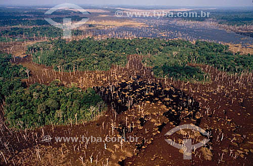  Deforestation - Forest recently flooded - Amazonian - Brazil 